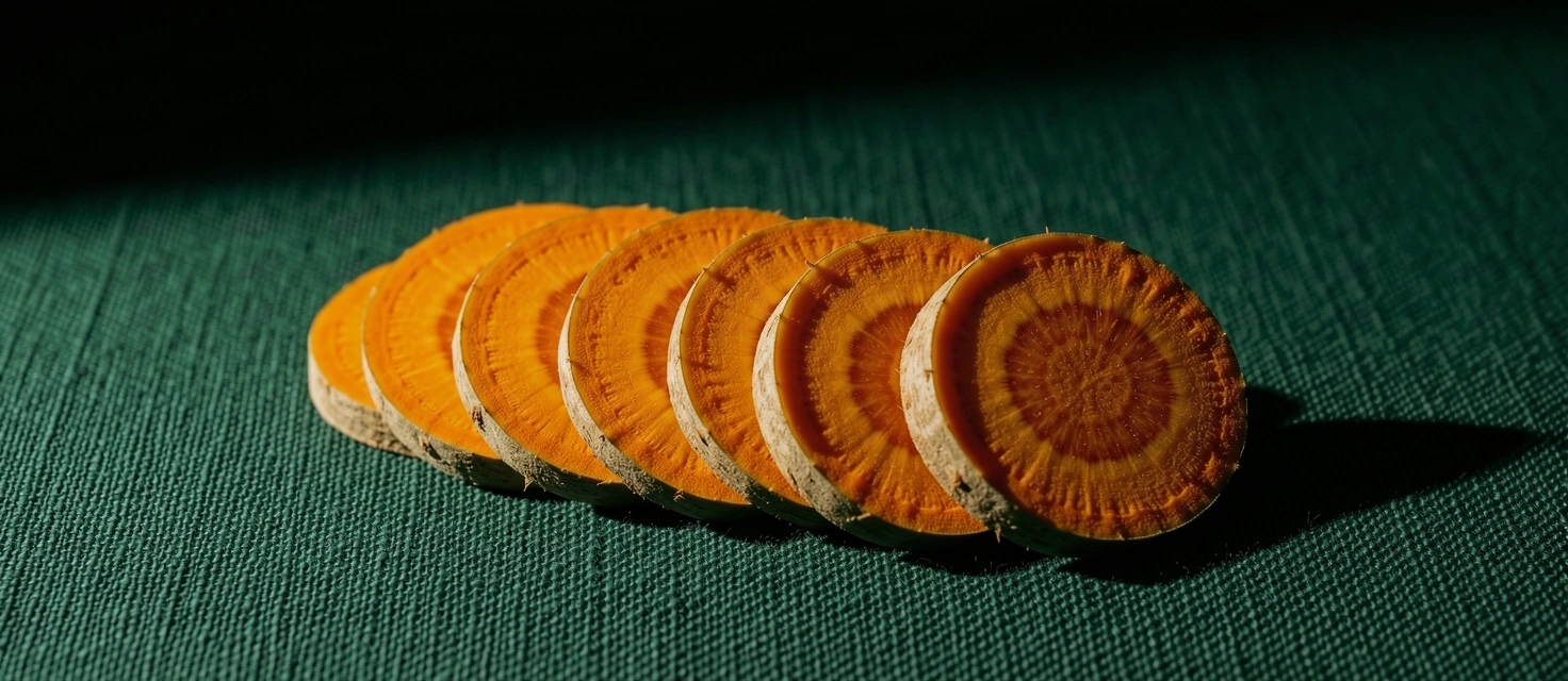 Botanical textures of ginger and turmeric